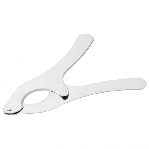 Sea urchin cutter